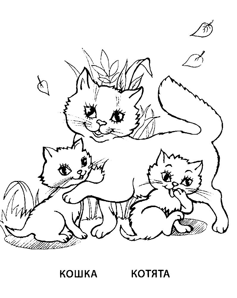 Раскраска Детеныши