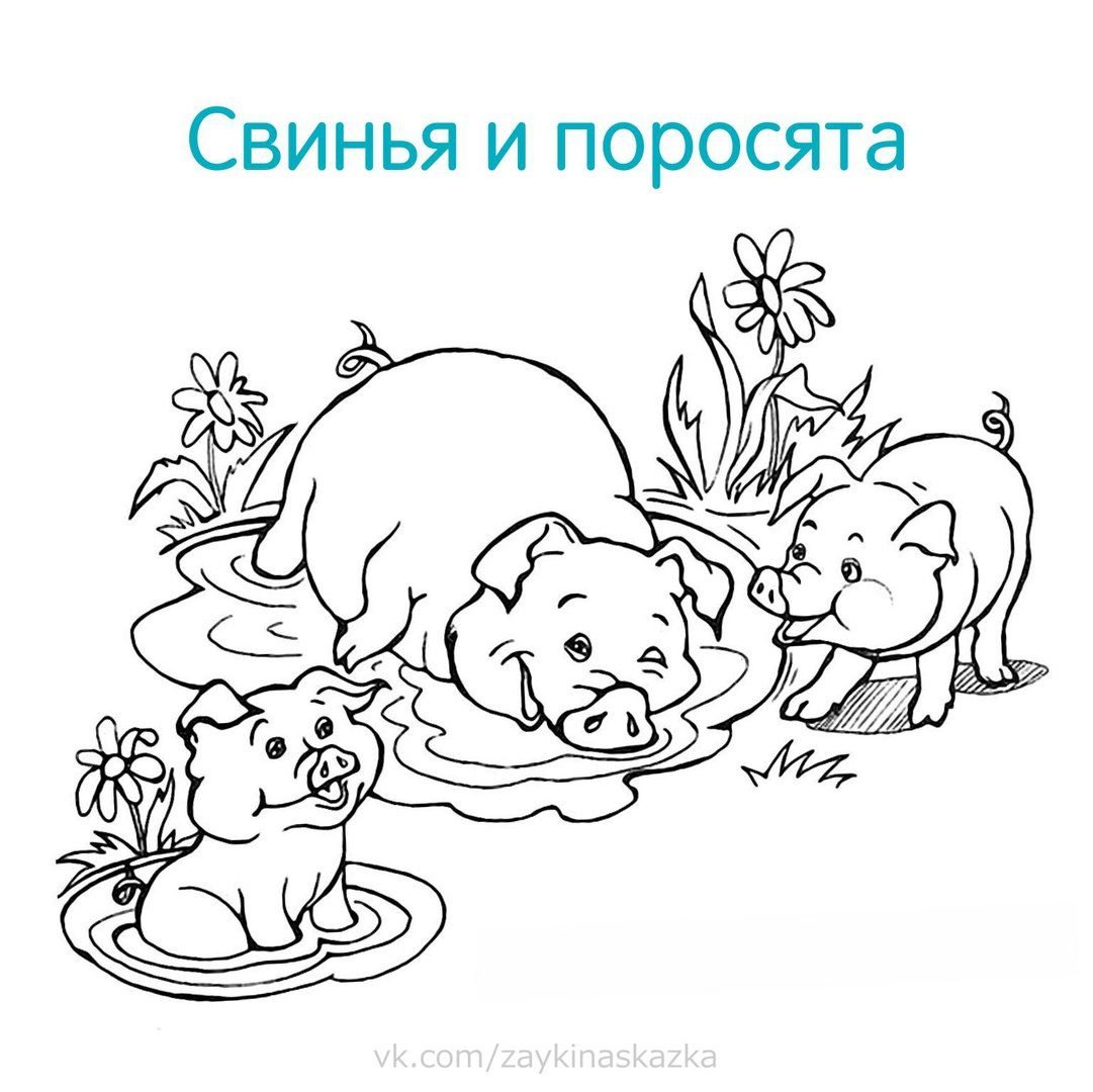 Животные задания для детей