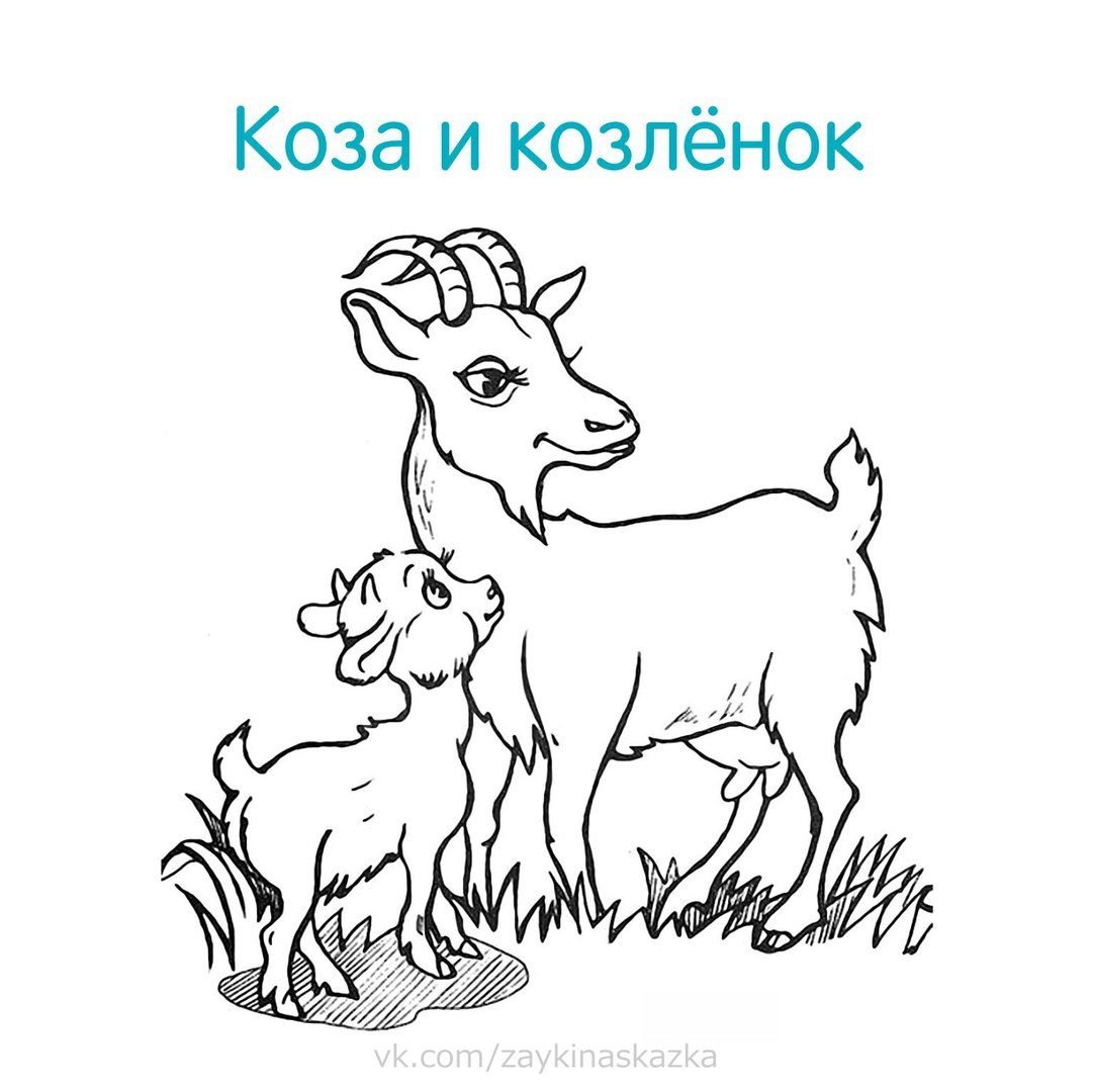 Раскраска коза с козлятами