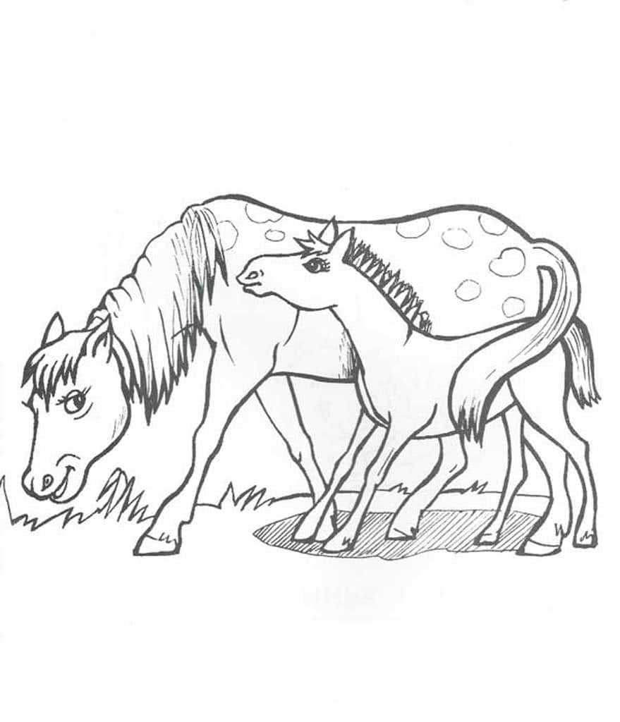 Раскраска маленький щенок