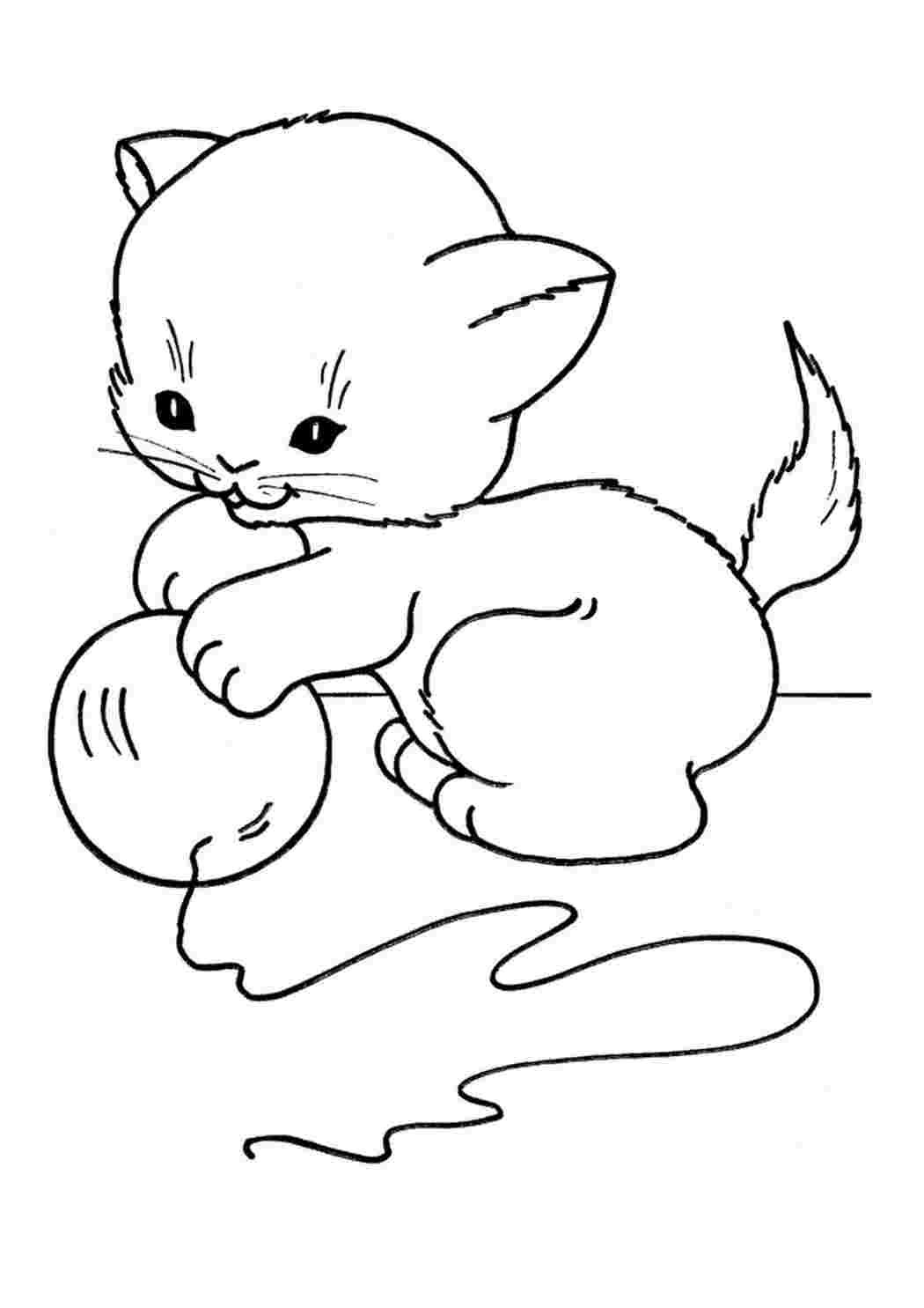 Раскраска. Котики