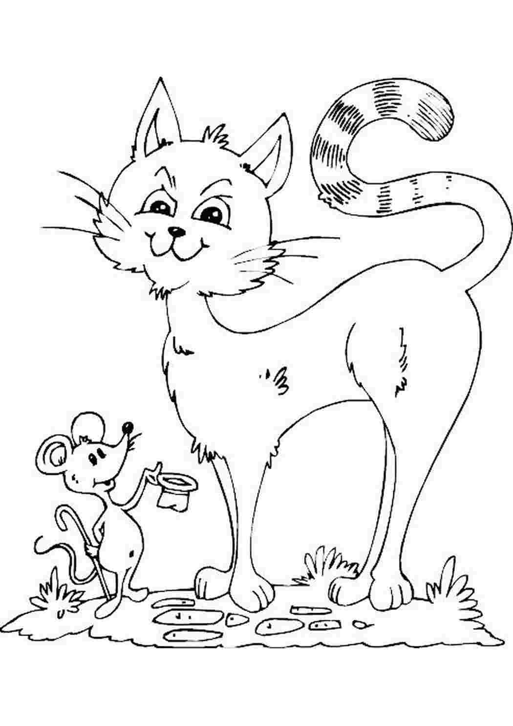 Кошечка Мари картинки