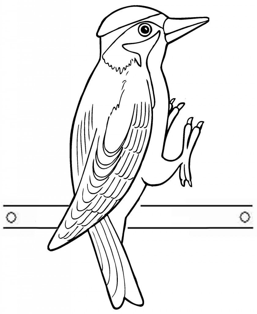 Ласточка рисунок карандашом