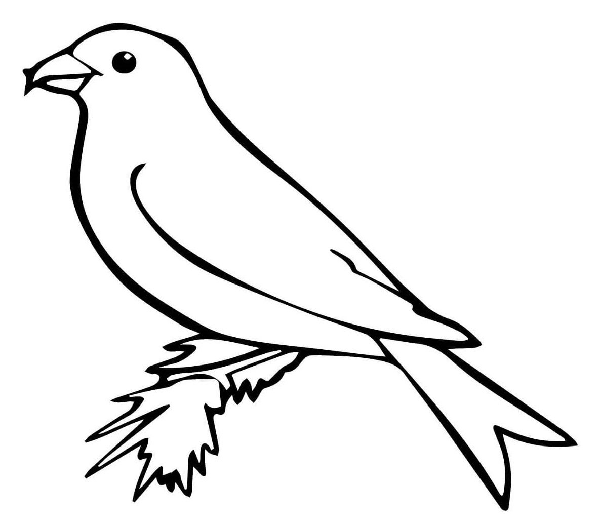 Птицы. Раскраска