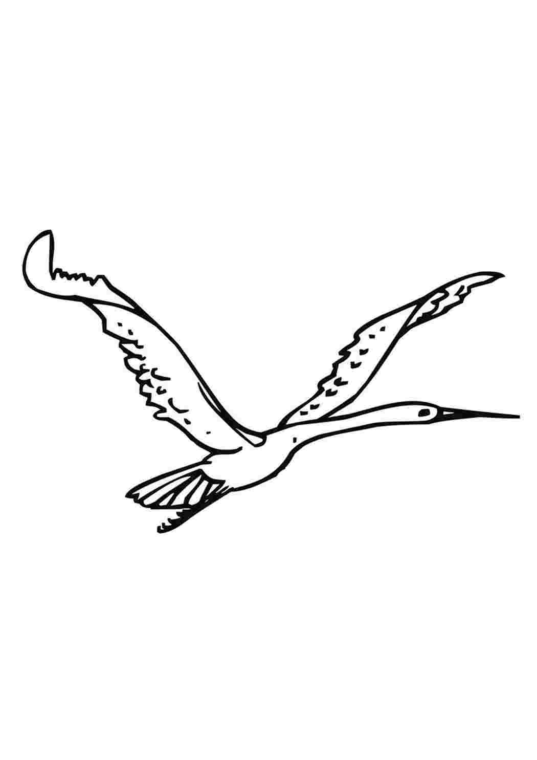 Журавль раскраска