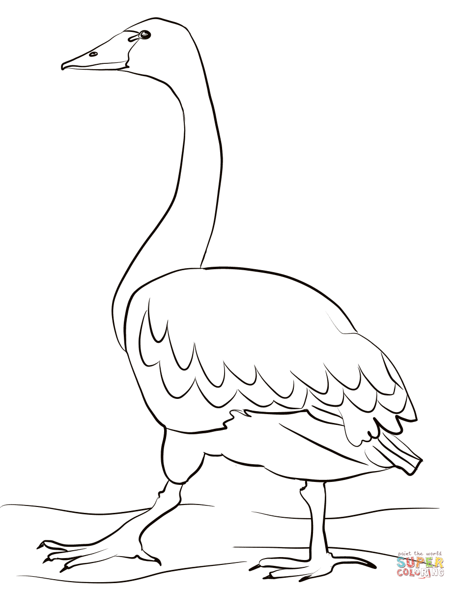 Лебедь раскраска