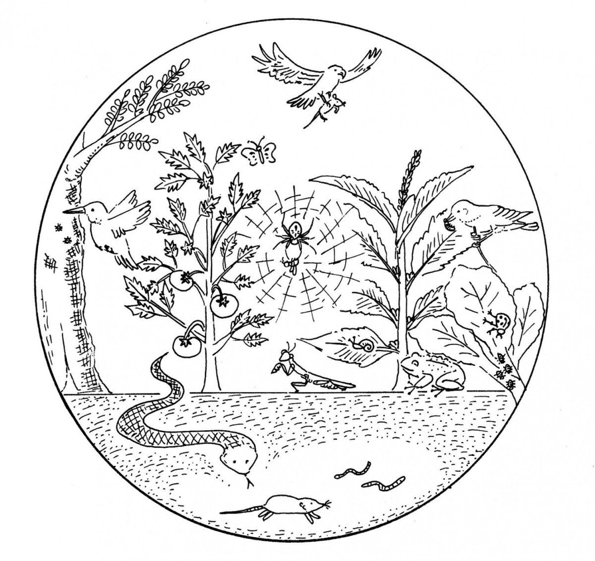 Раскраска экология воды