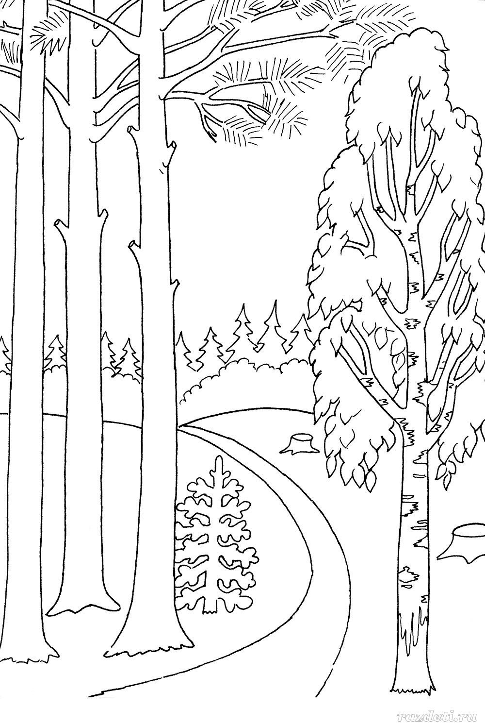 Раскраска природа для детей