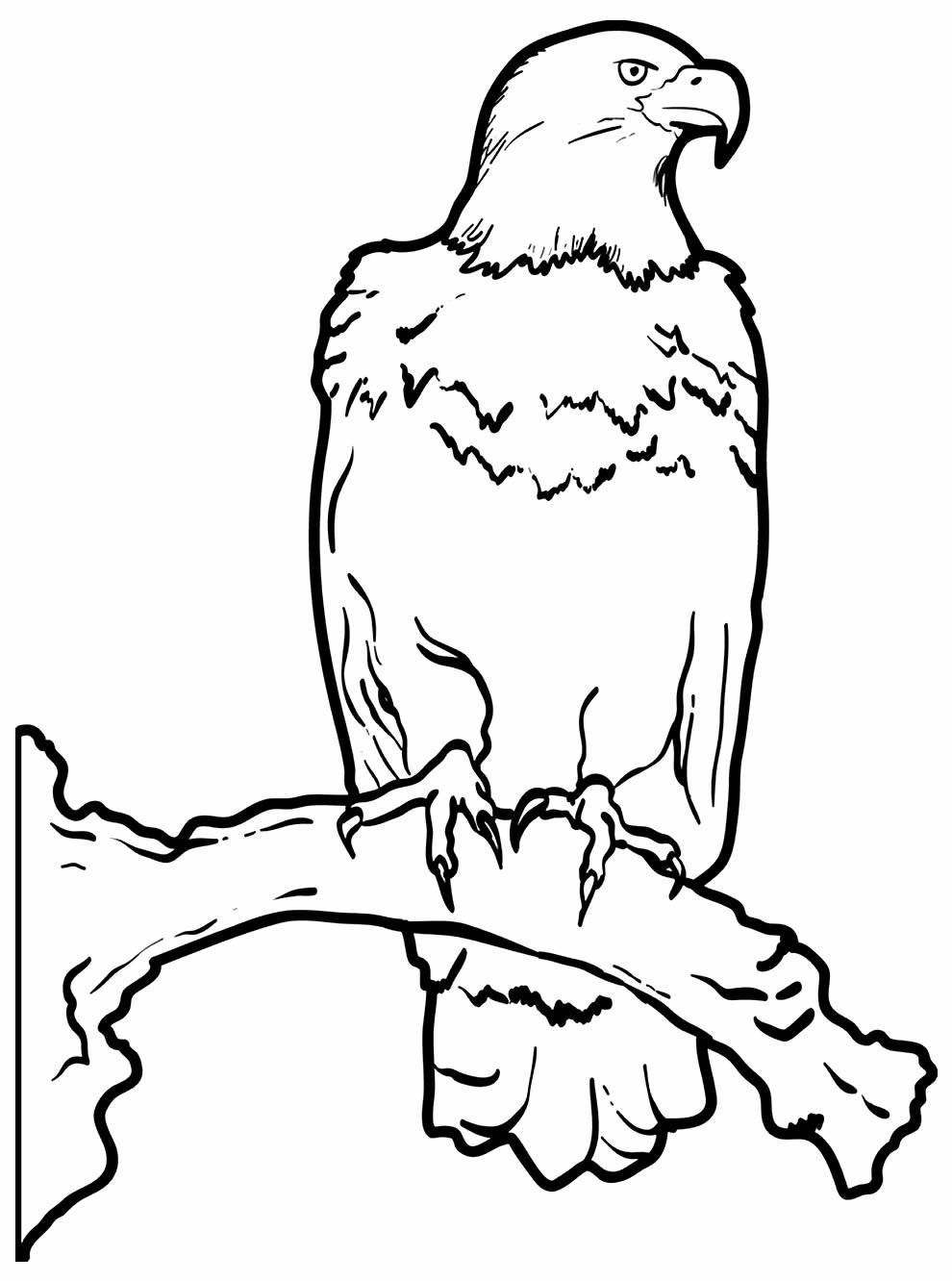 Орел рисунок