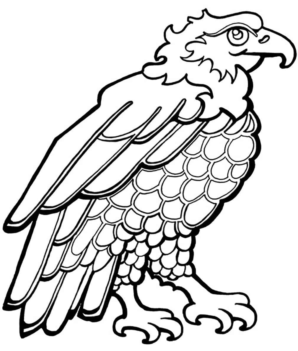 Картинки для раскрашивания Орел