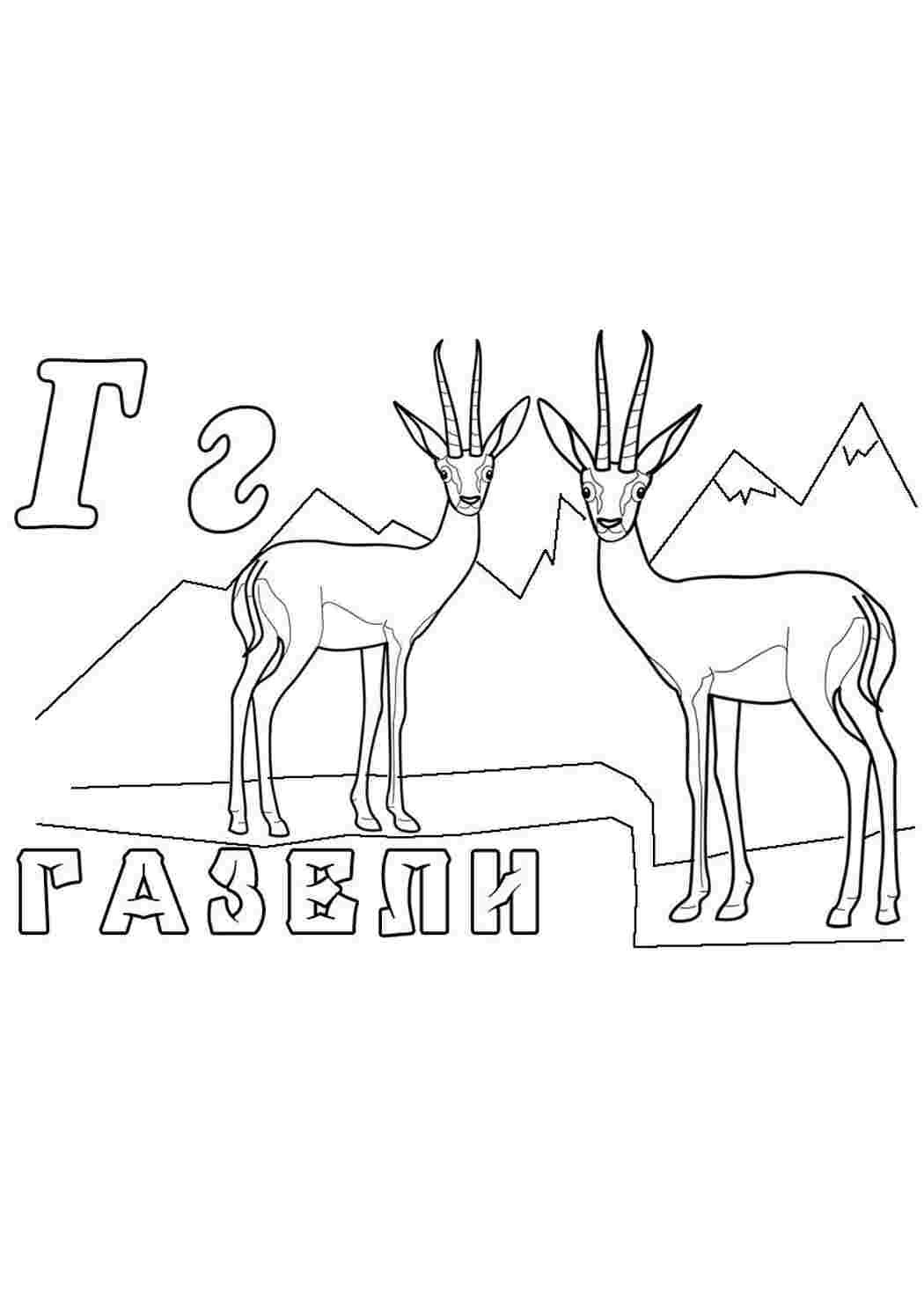 Раскраска Газель животное