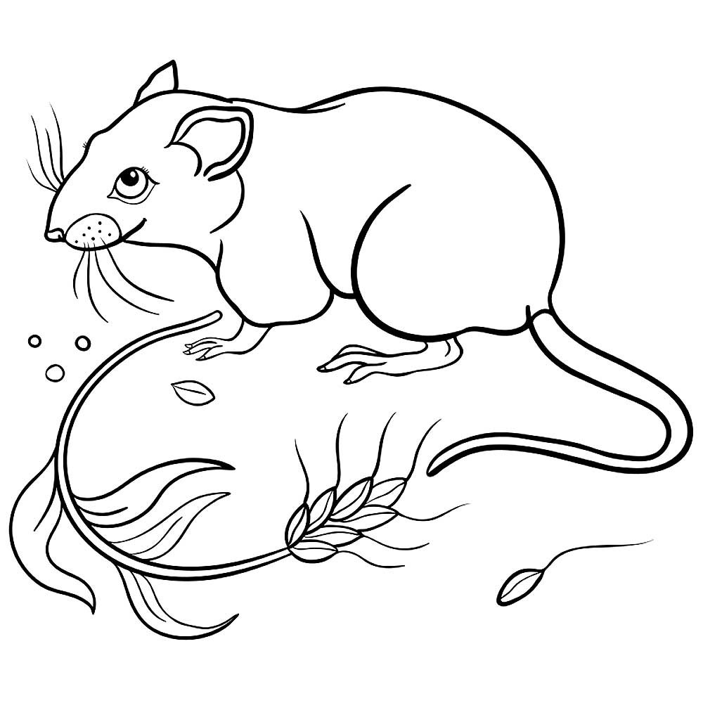 Мышка полевка раскраска