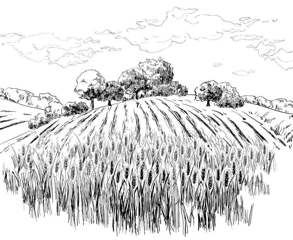 Горы и холмы карандашом