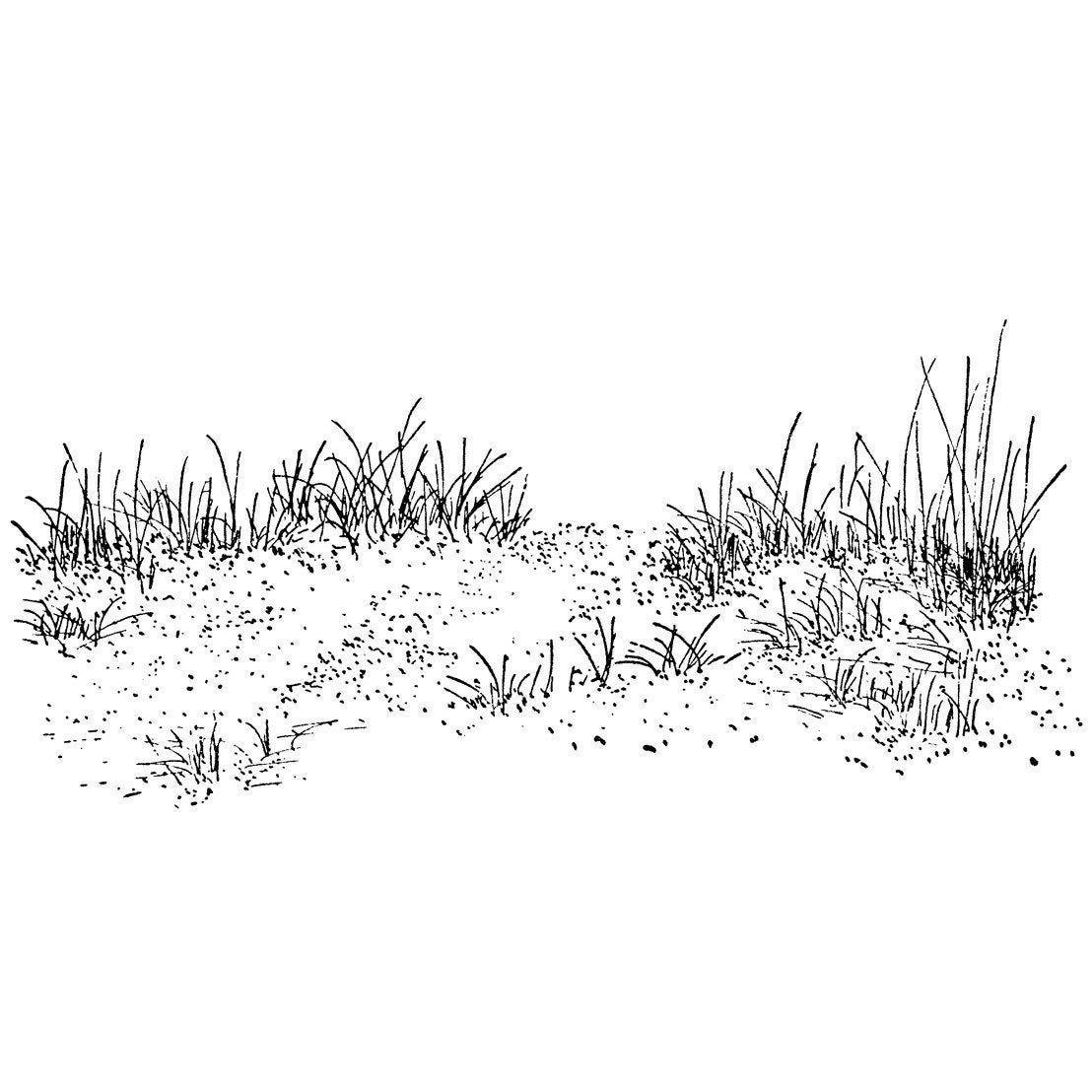 Раскраска пустыня для детей