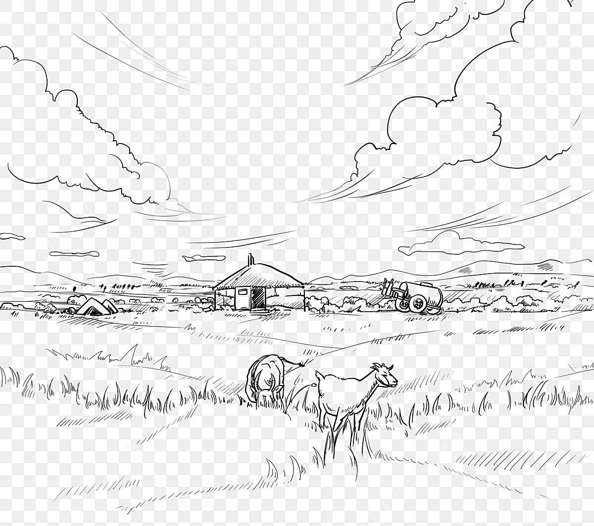 Раскраски кони лошади