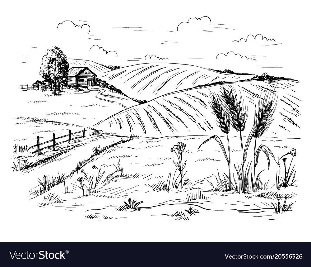 Северный олень раскраска