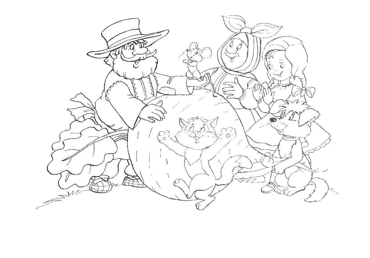 Сказки. Раскраски