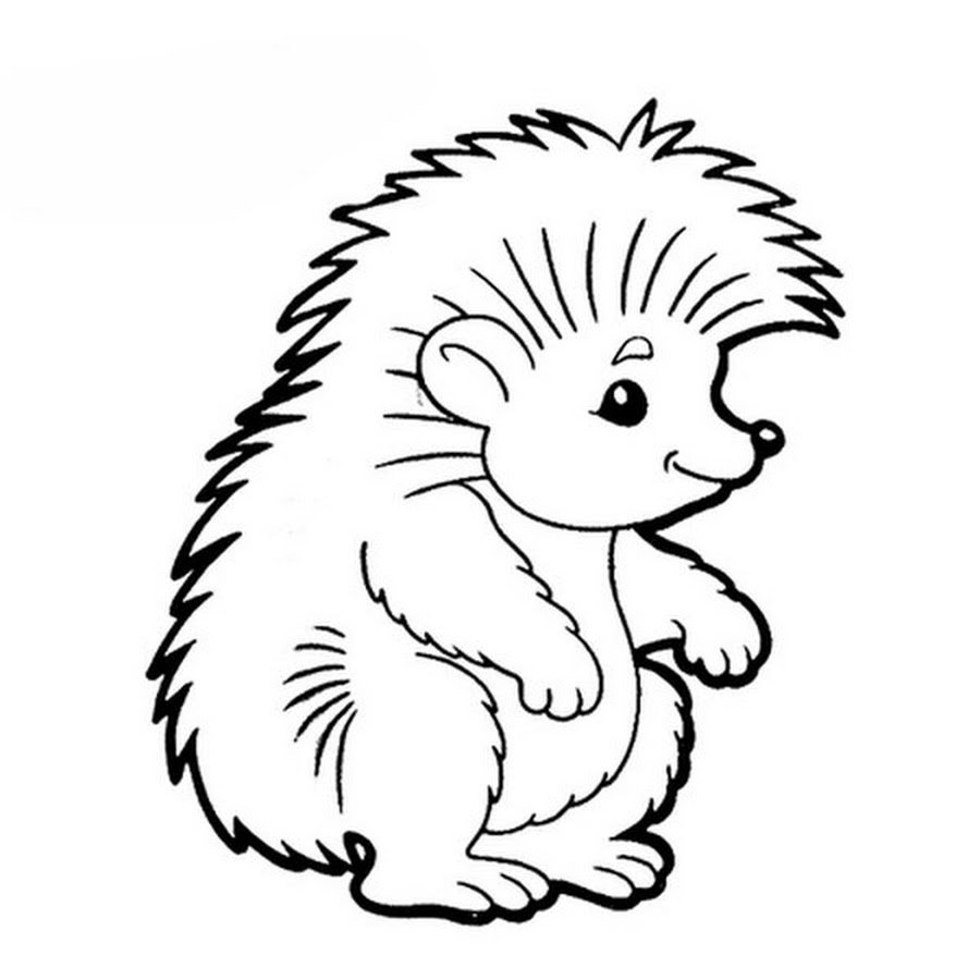 Сказки. Раскраски