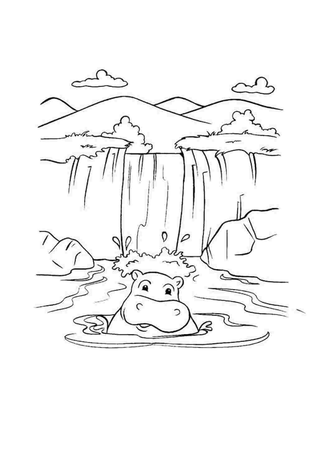 Раскраска родник