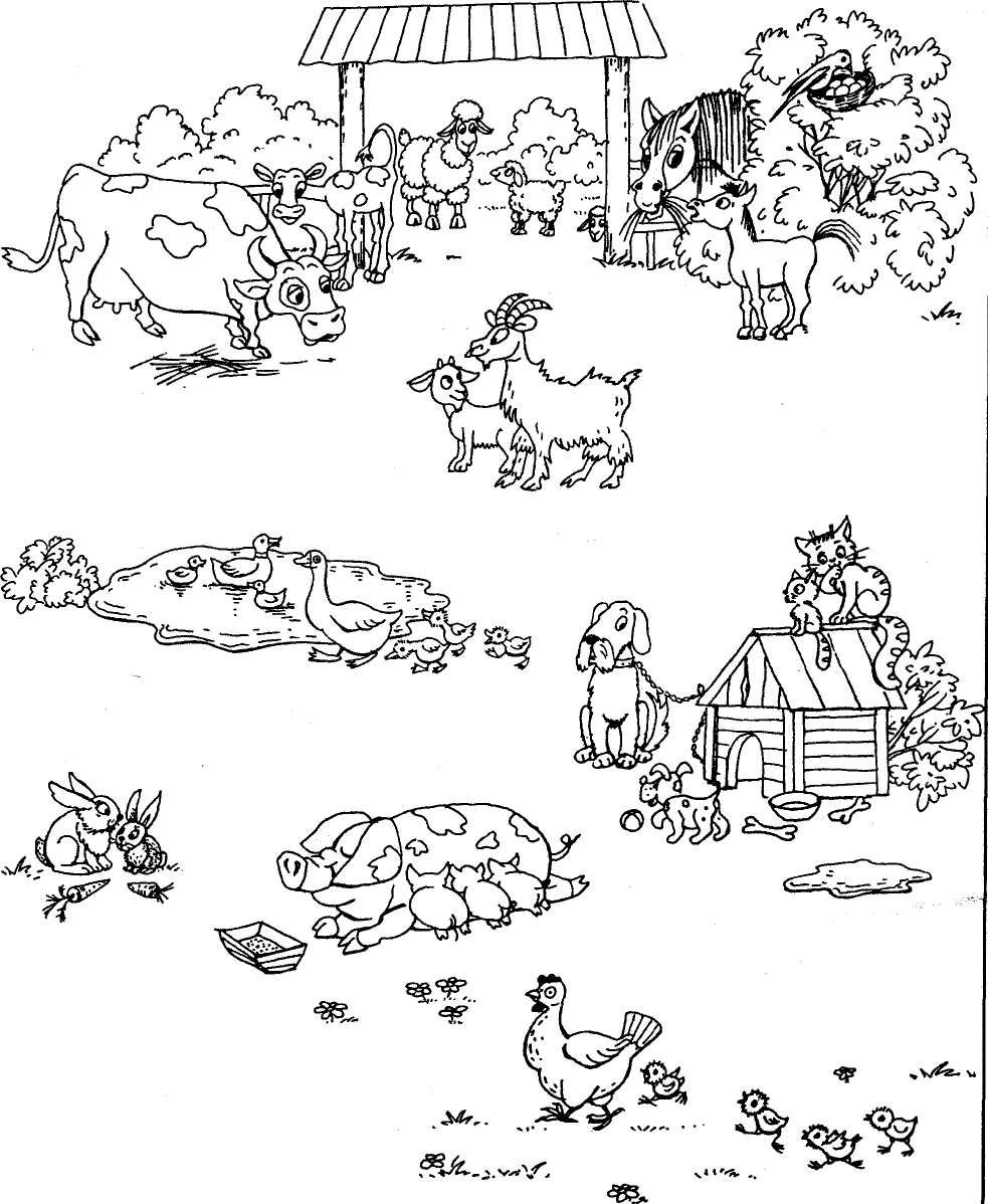 Придуманное животное рисунок