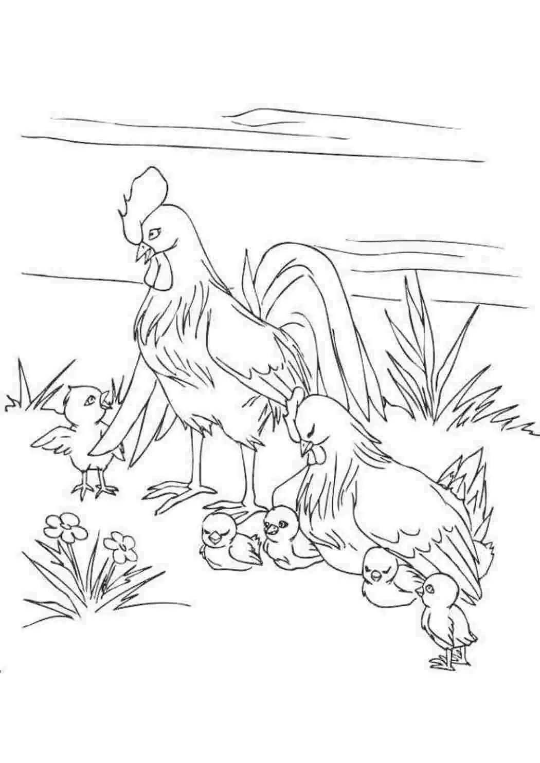 Петушок рисунок карандашом