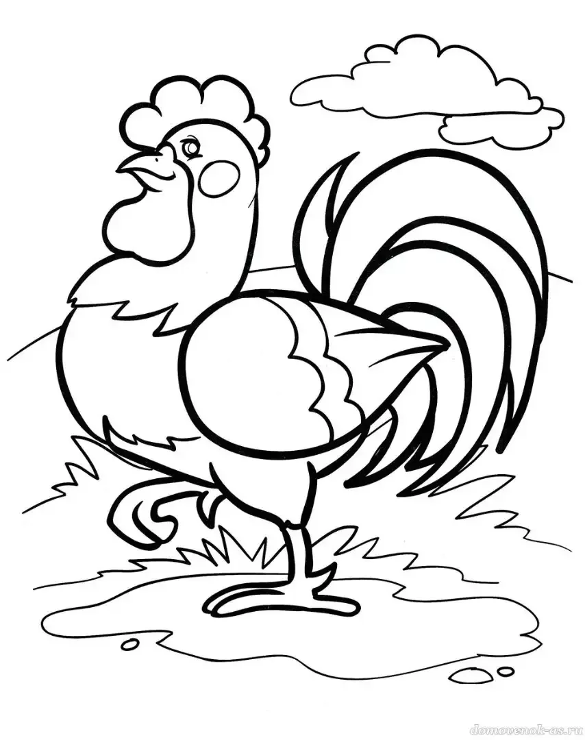 Петух раскраска
