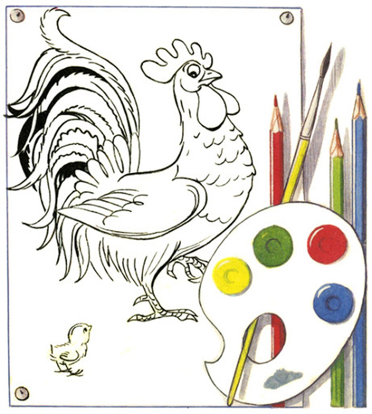 Раскраска петушок сутеев