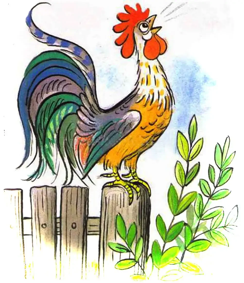Рисование петушок