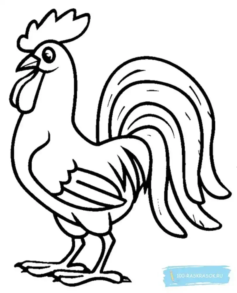 Раскраска петушок и Курочка