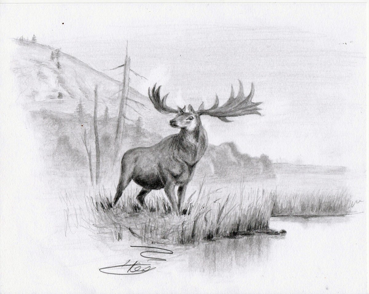 Раскраски народы севера для детей