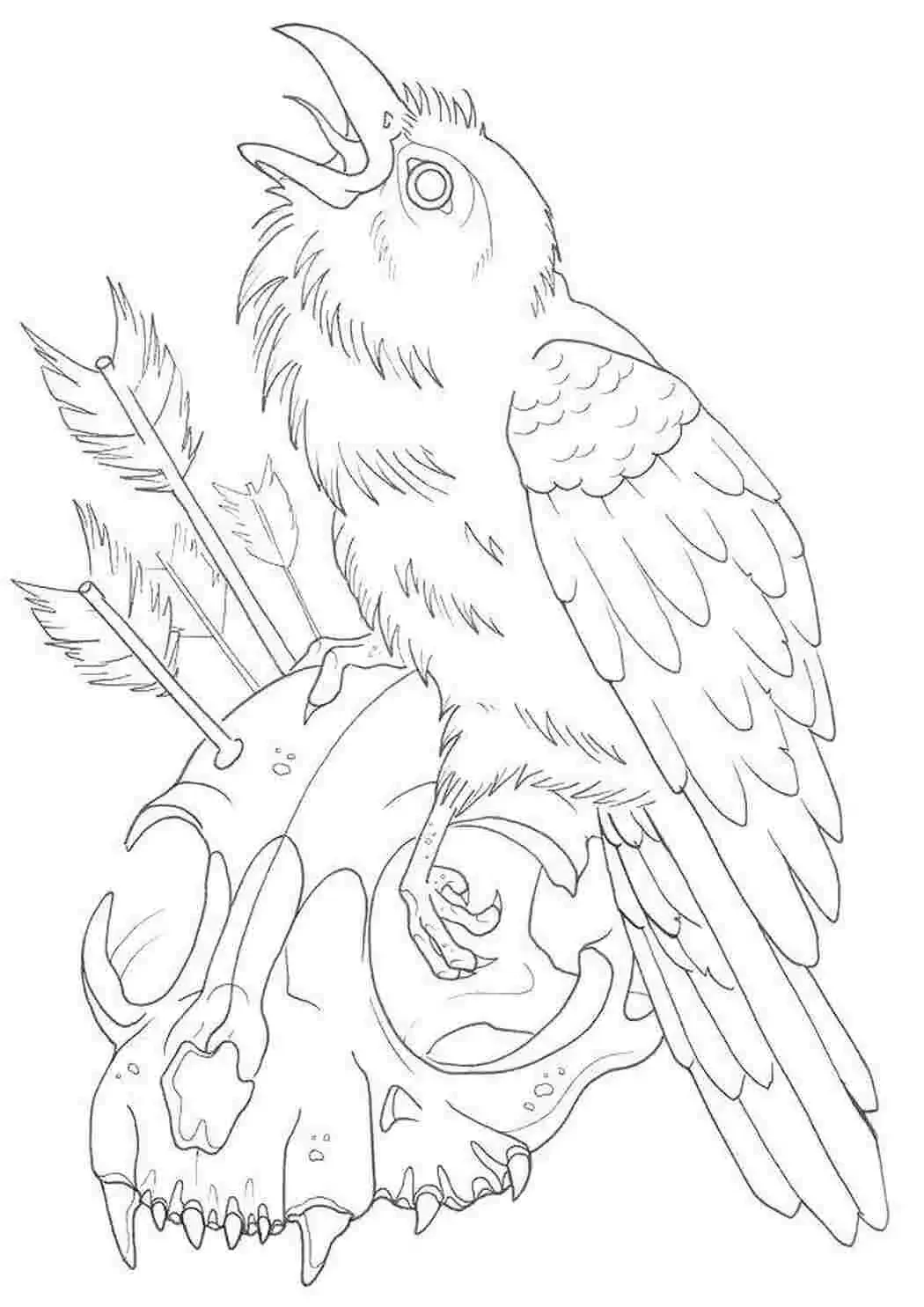 Ворон рисунок карандашом