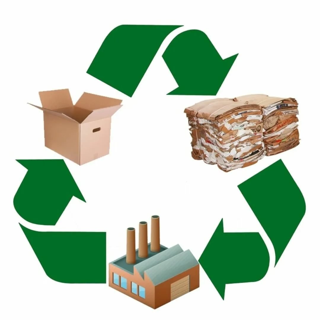 Вторая жизнь бумаги