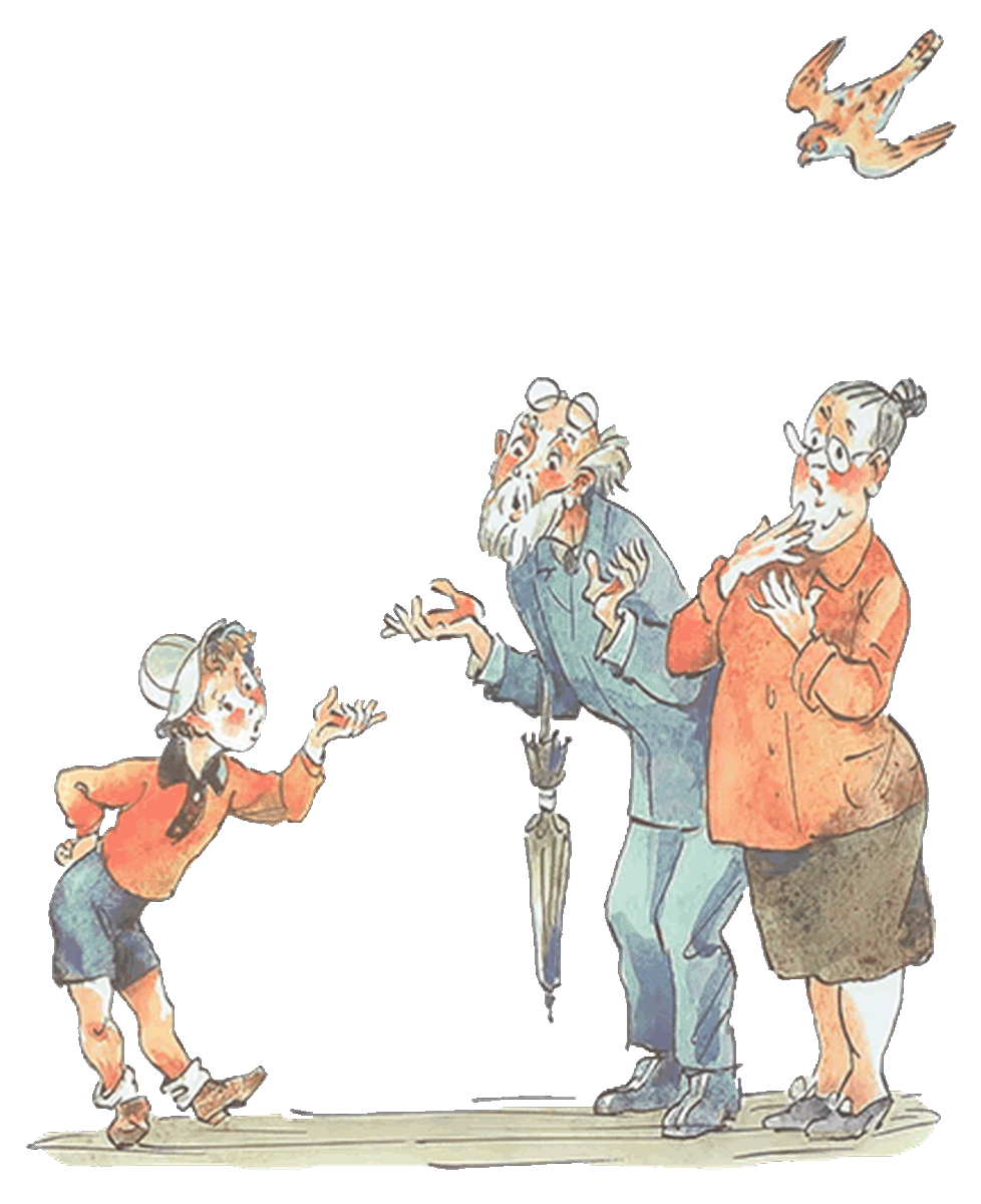 Старик контур