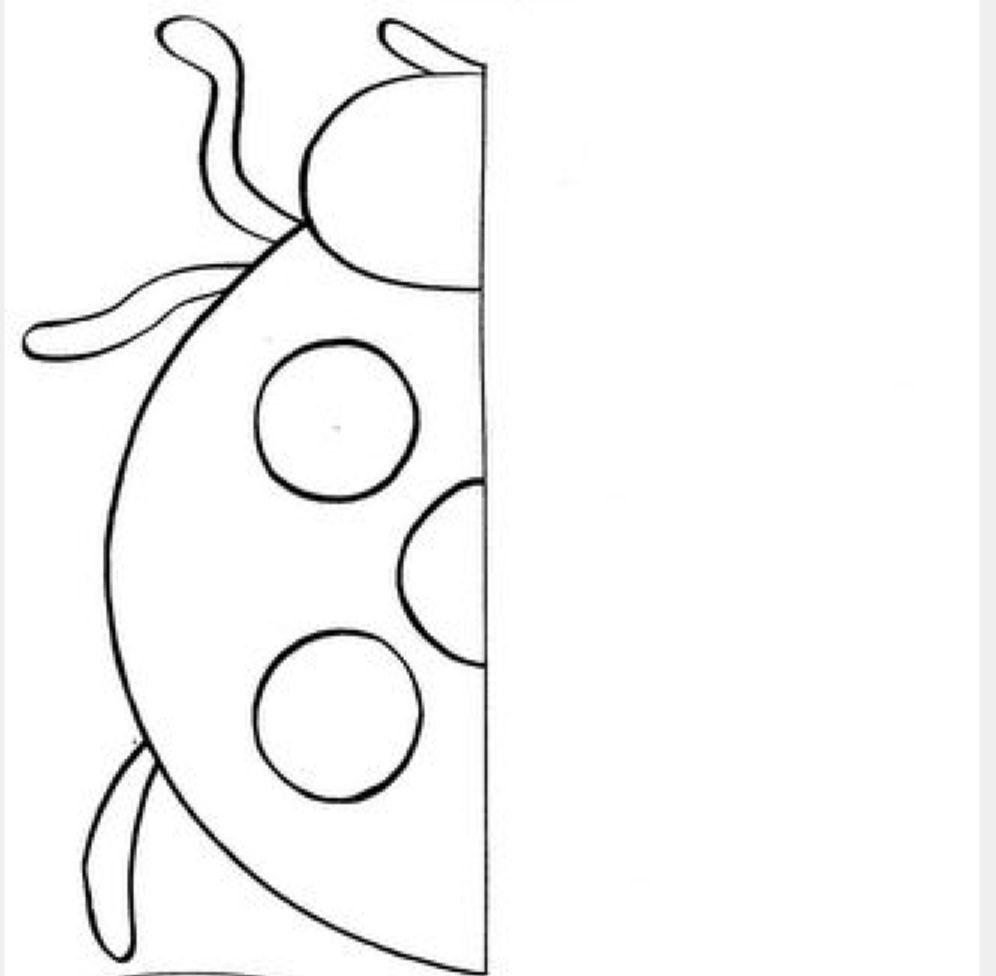 Дорисовать насекомых