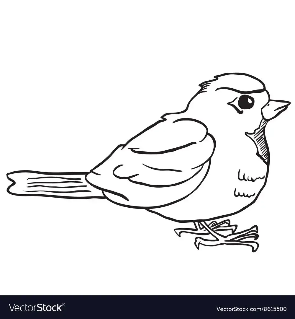 Воробей раскраска с образцом