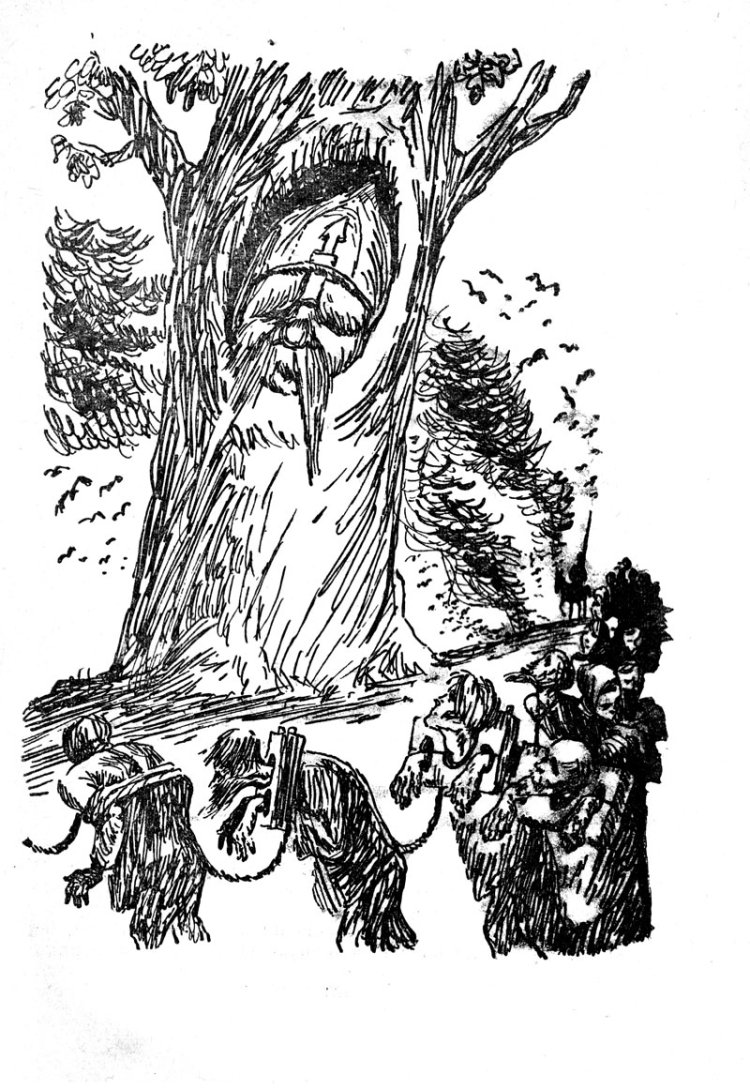 Медведь иллюстрация