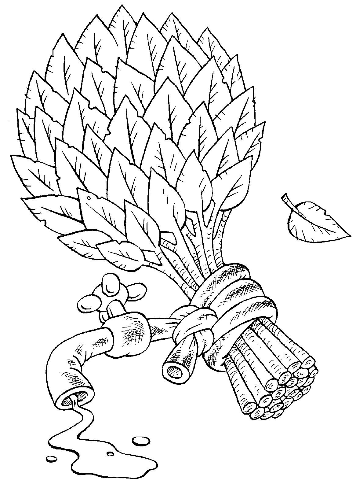 Раскраска веник