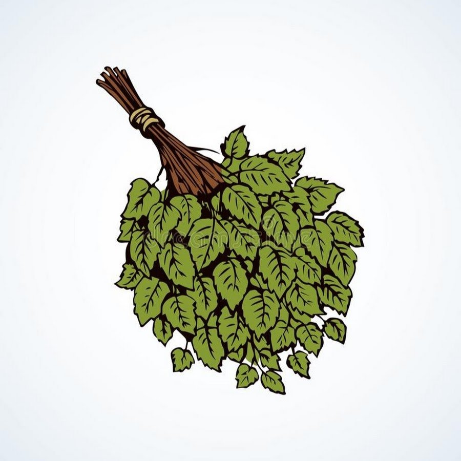 Дубовый веник вектор
