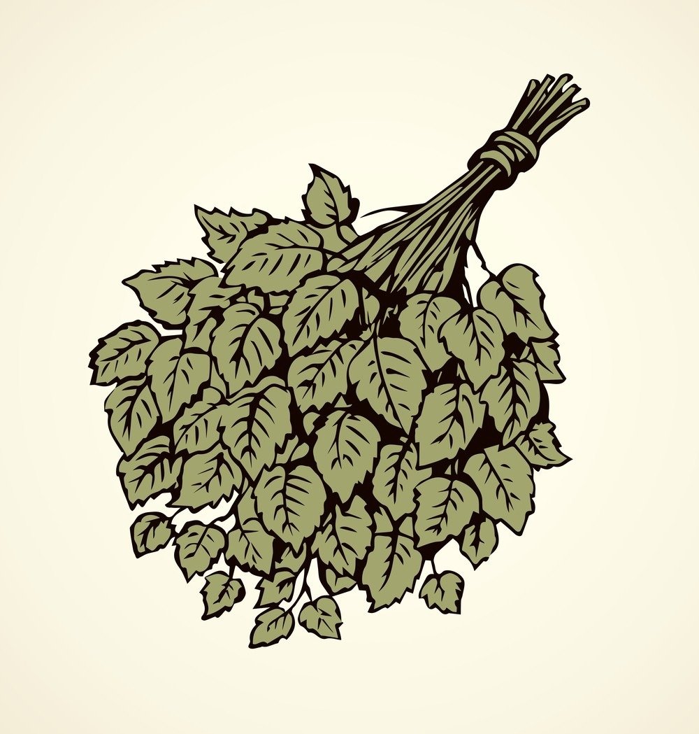 Березовый веник вектор