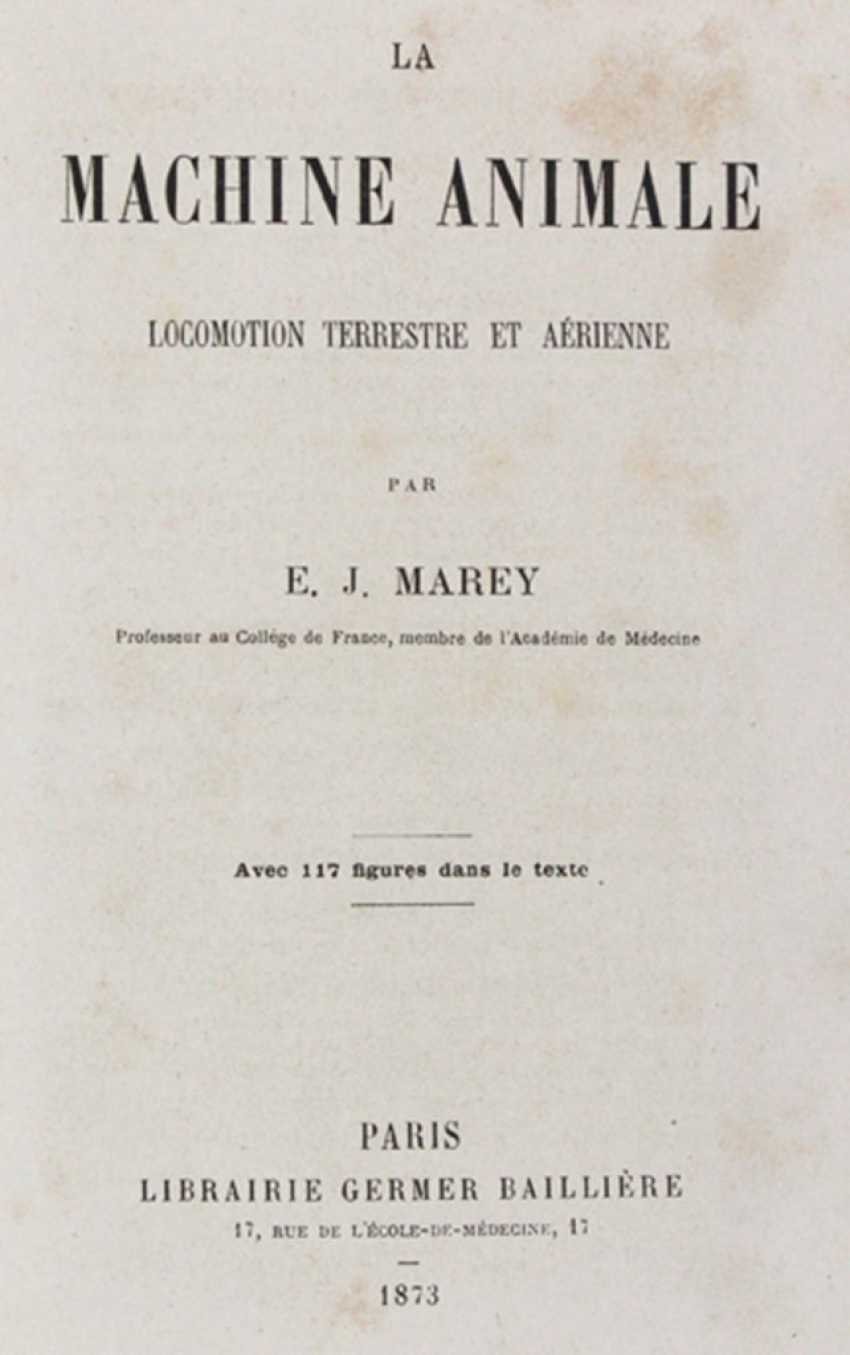 Рисунки в стиле дом в котором