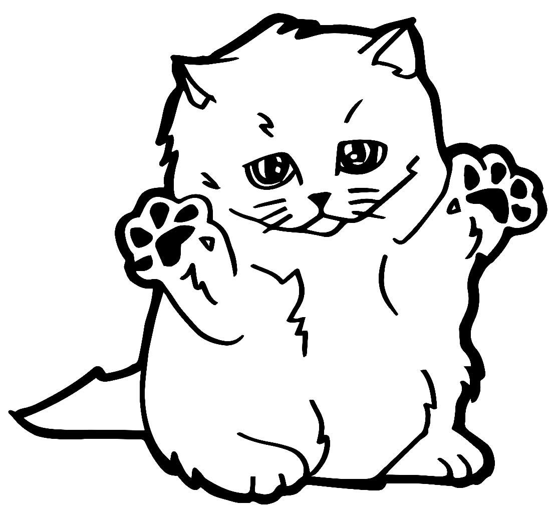 Раскраски для девочек животные котята вислоухие