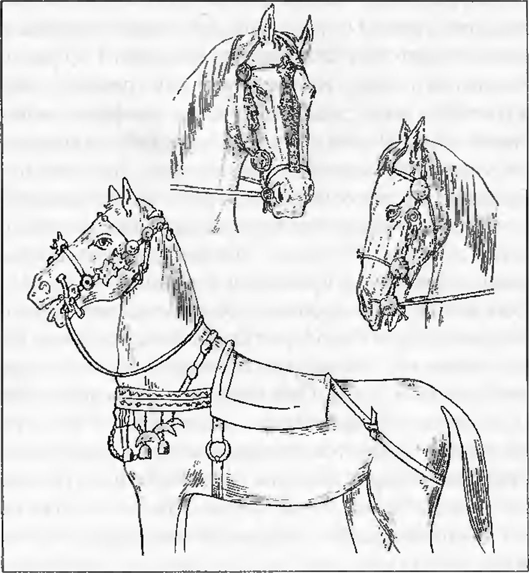 Военное дело скифов