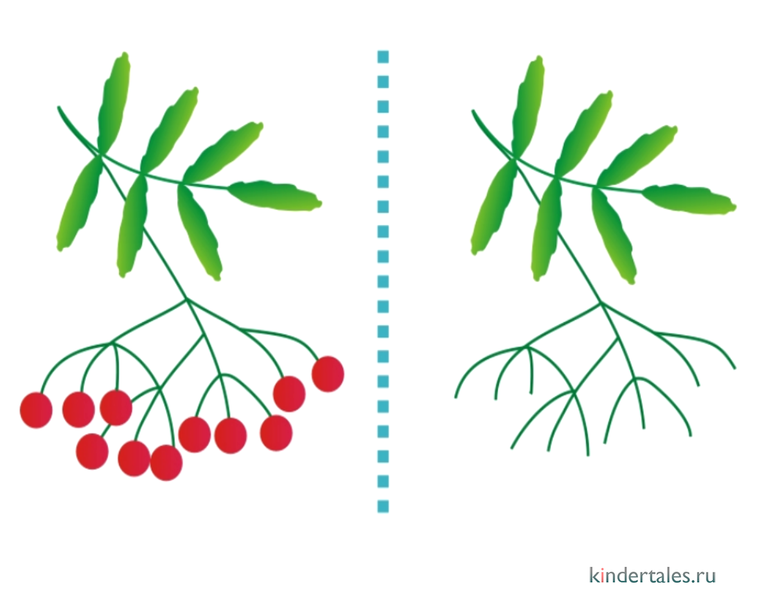 Осенние раскраски для малышей