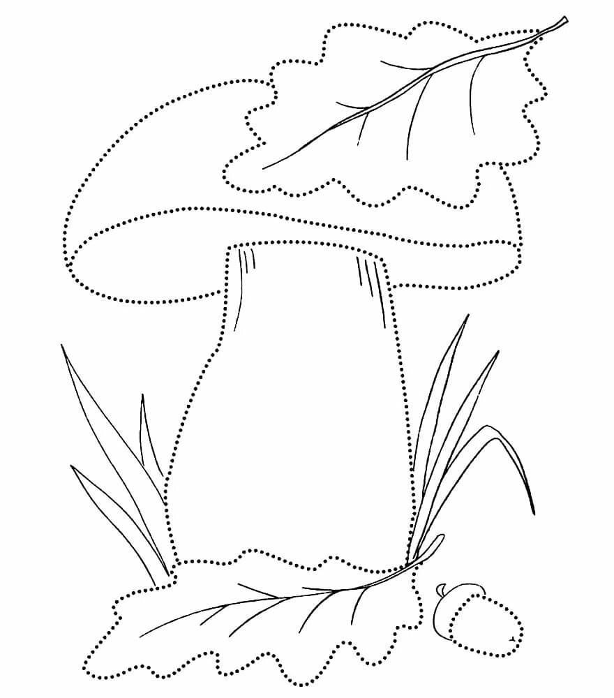 Осенние задания для дошкольников