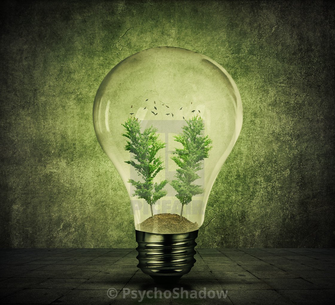 Лампочка с природой внутри