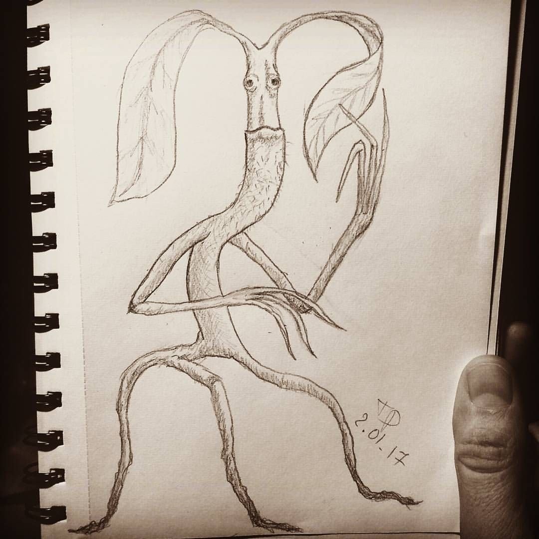 Фантастические твари раскраски