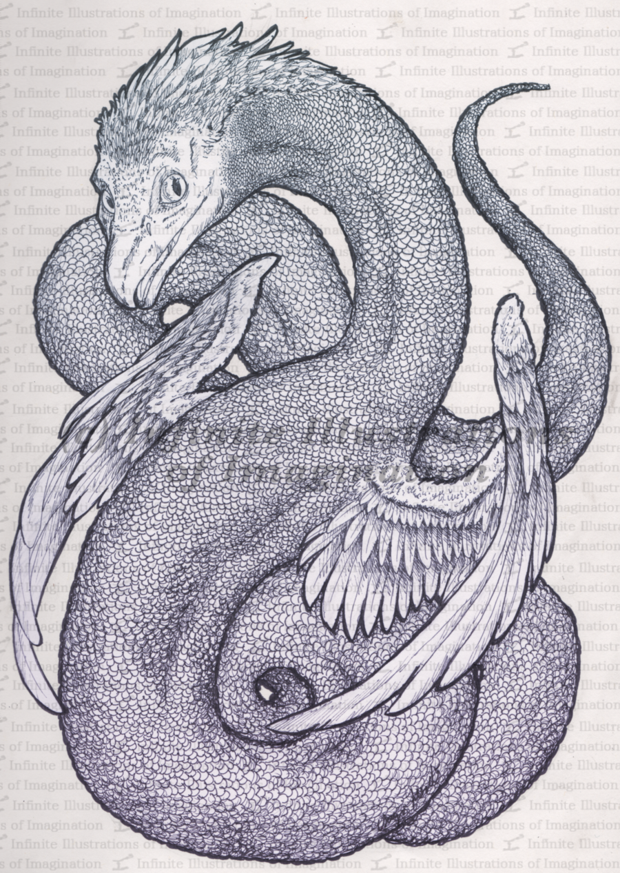 Раскраски Ньют Скамандер