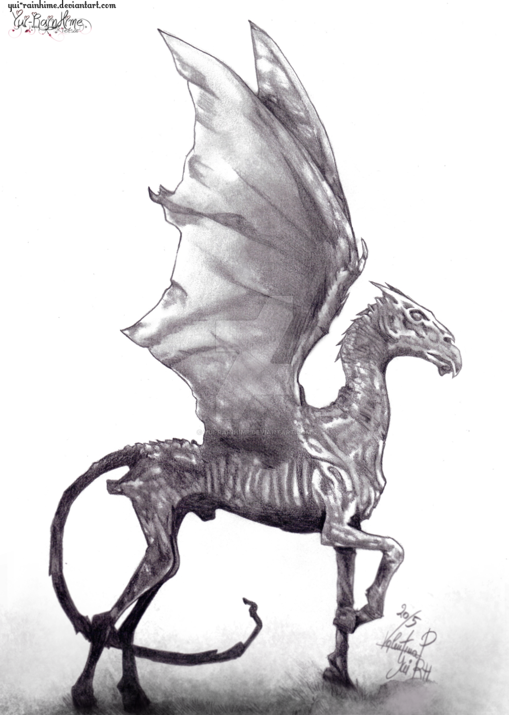 Окками рисунок