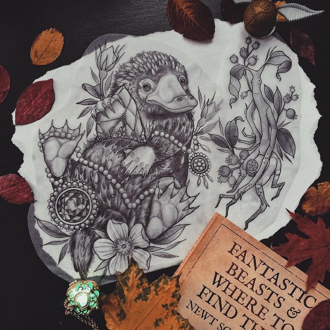 Раскраска волшебные твари