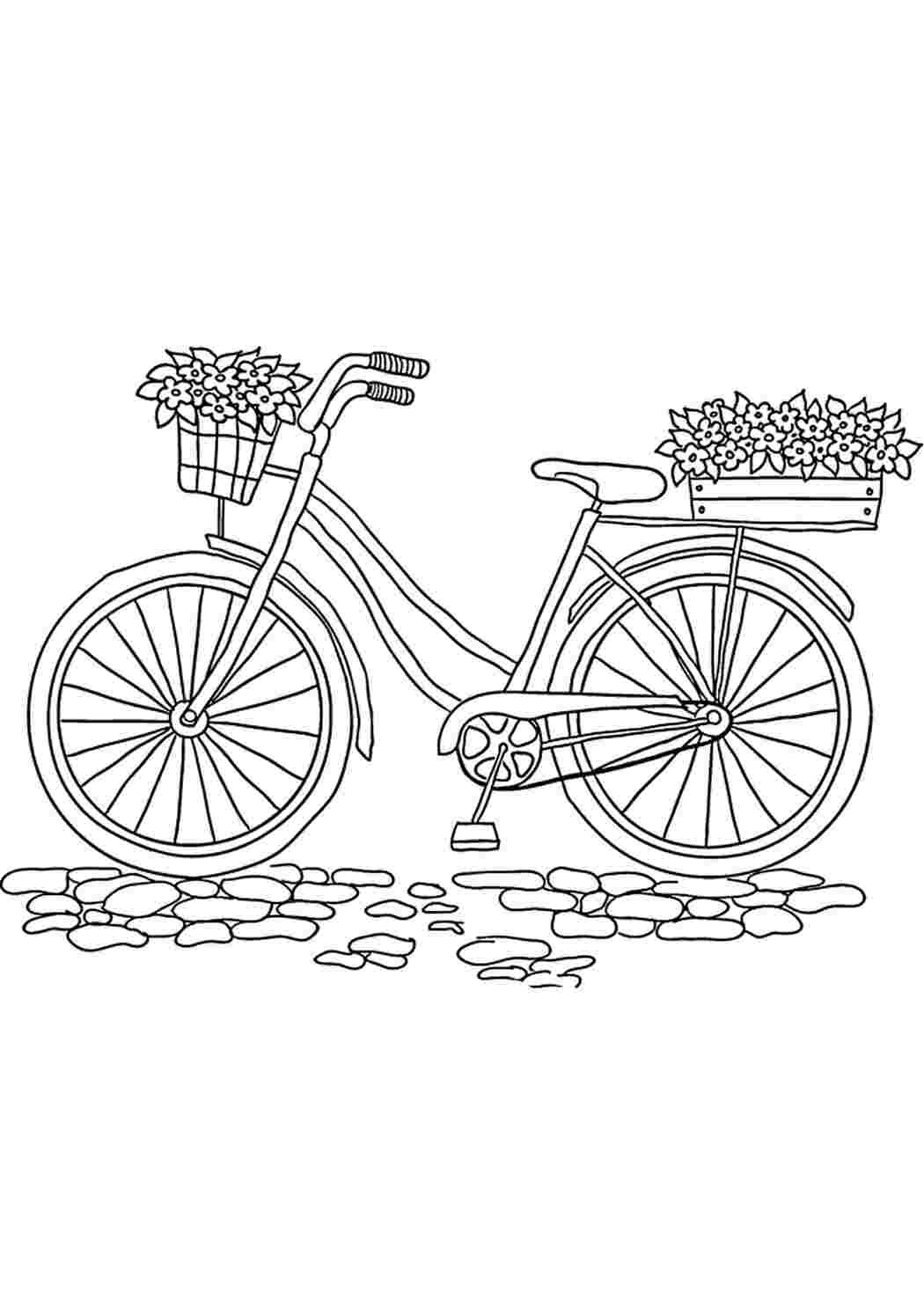 Велосипед с корзинкой цветов раскраска